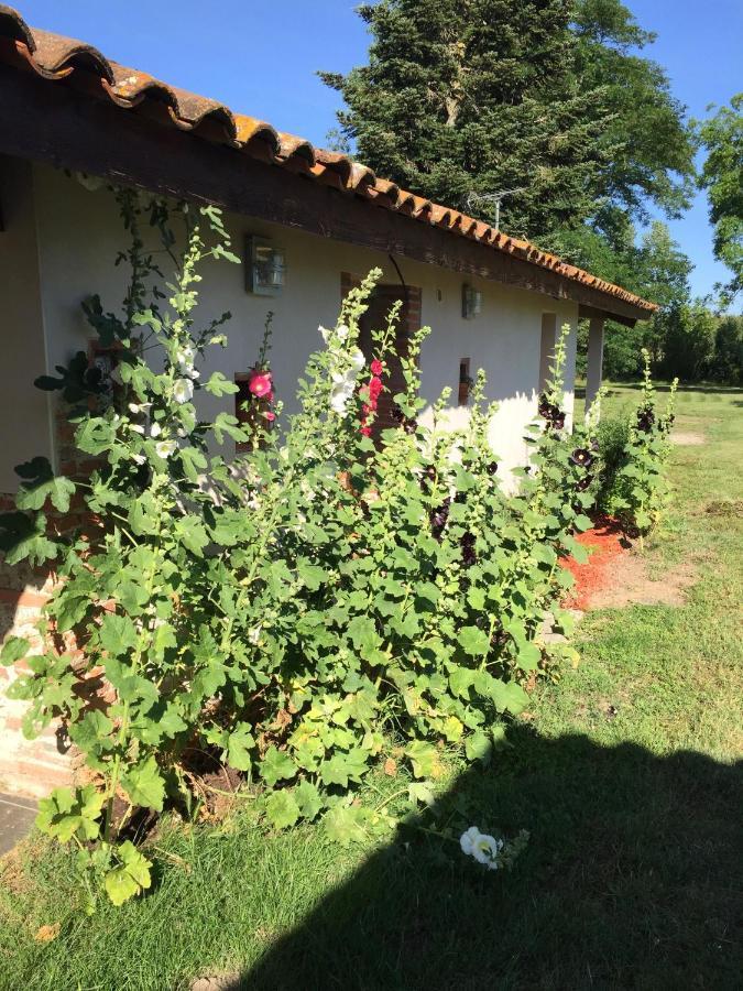 Location Gite 4 Personnes Mazeres - La Petite Maison Ngoại thất bức ảnh
