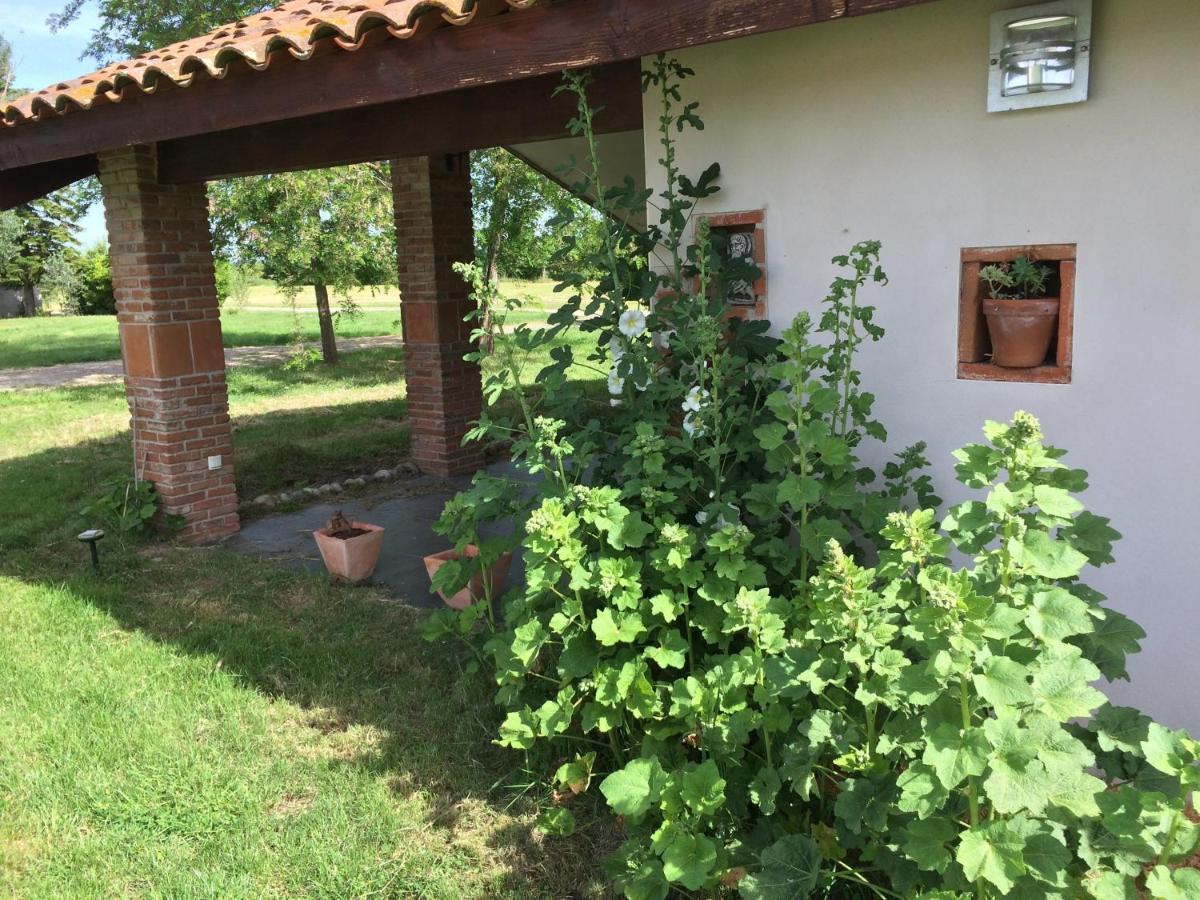 Location Gite 4 Personnes Mazeres - La Petite Maison Ngoại thất bức ảnh